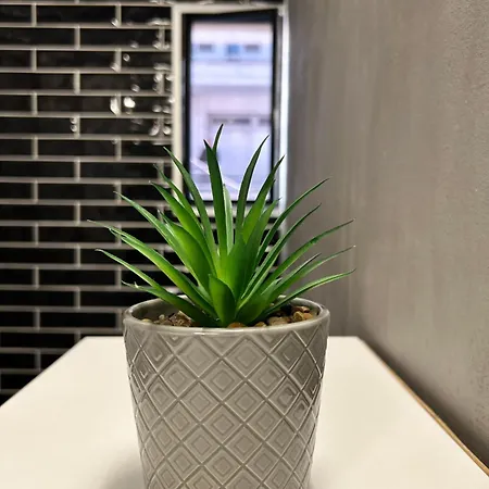 Apartment Theloft